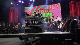 Alfredo El Pulpo Y Sus Teclados Sabroseo En Vivo