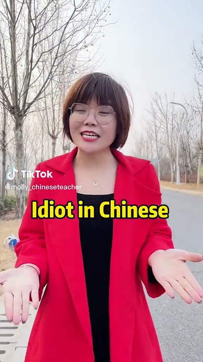 Idiot in Chinese