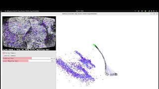 VSLAM-LAB: AllFeature-VSLAM Meets Marine Conservation