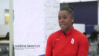 Chapter 1: Introduction to Title IX