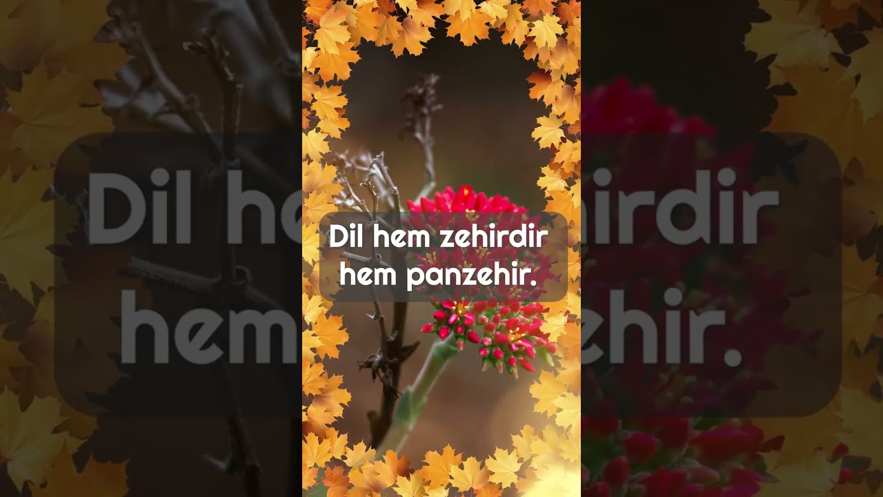 Hayırlı Pazarlar Rabbim Herşeyin Hayırlısını Versin İNŞAALLAH #ilahi #ilahiler
