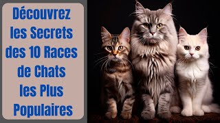 Découvrez les Secrets des 10 Races de Chats les Plus Populaires