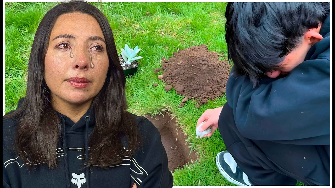 Nuestra MASCOTA ha MUERTO😭🕊️*NO SABEMOS LO QUE PASO !