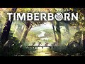 ПЕРВАЯ ЗАСУХА! - TIMBERBORN ПРОХОЖДЕНИЕ