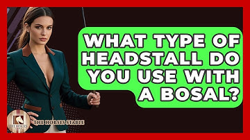 What Type Of Headstall Do You Use With A Bosal? - The Horses Stable