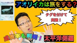 エギングファン必見！「アオリイカの秘密にせまる」の著者上田幸男先生プレゼンツ！太平洋側のアオリイカは旅をする？タグ付けリリースの結果にビックリ！そしてアオリイカの成長率も判明！【富所潤】