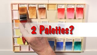 Watercolors - More Than One Palette?