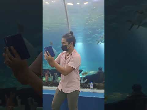 december 2023 - Cebu Ocean Park