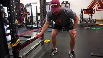 Torso Parallel Rear Delt Middle Position Supinated AFSM Cocontraction Speed Triphasic Training