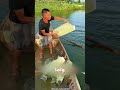 They Save The Lives Of Fish With Ice 