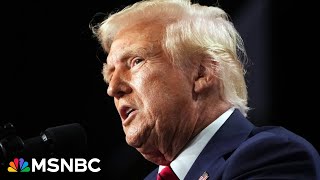 'Making do on their promises': Trump admin cracking down on immigration