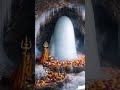 Shivji Divya Darshan Amarnath 🙏 Har Har Mahadev | Baba Barfani Darshan | Bhakti Status 2026