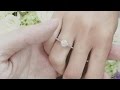 求婚|2015.8.23