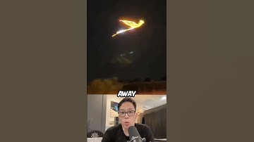 man returns phoenix bird back to wild