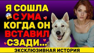 картинка: Моя собака внезапно сделала со мной это посреди ночи