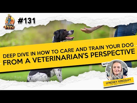 Video: Senior Pet Survey: quanto bene comunicano veterinari e proprietari?