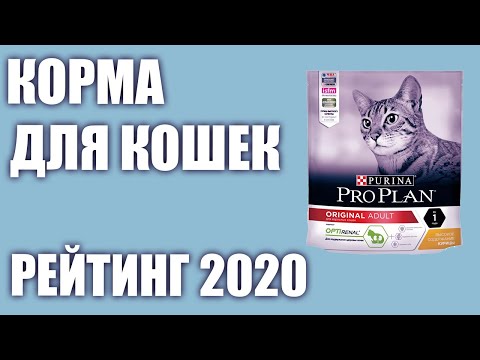 ТОП—7. Лучшие корма для кошек (сухие и влажные). Рейтинг 2020 года!