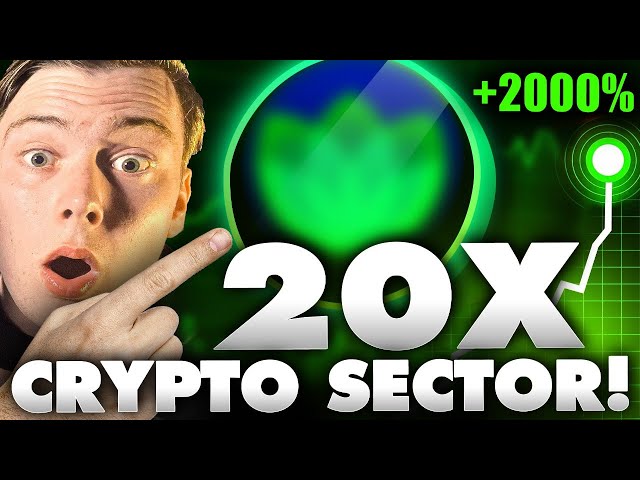 This Crypto Sector Will 20x (This Altcoin Will Explode!)