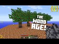 Entering the wood age  gtnh skyblock garden of grind  part 3