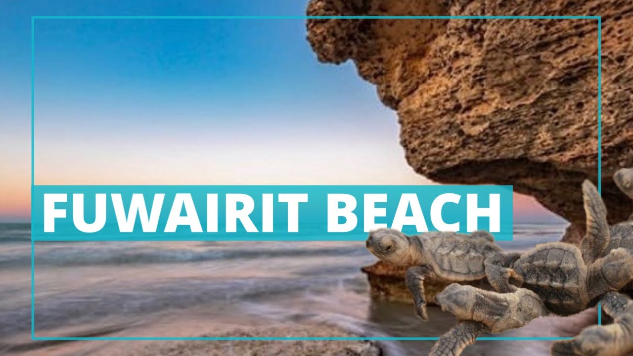 Fuwairit Beach | Overnight Camping | Best beaches for Camping in Qatar 