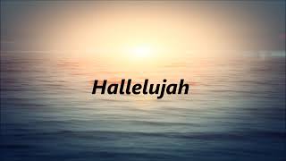 The Afters - Broken Hallelujah (Lyrics)