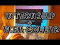 Jul 20 2021 internship and a flea collar