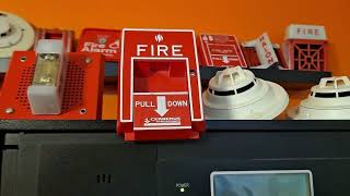 Siemens Cerberus Pyrotronics MXLV Fire Alarm System Test / Demonstration