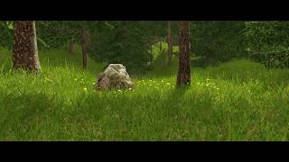 Photorealistic Grass - CRYENGINE