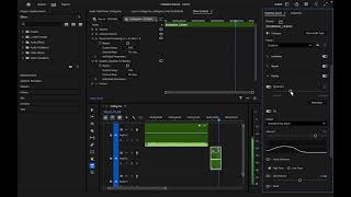 Editing with Studio Reverb & within the Essential Sound Effects Panel - Tutorial