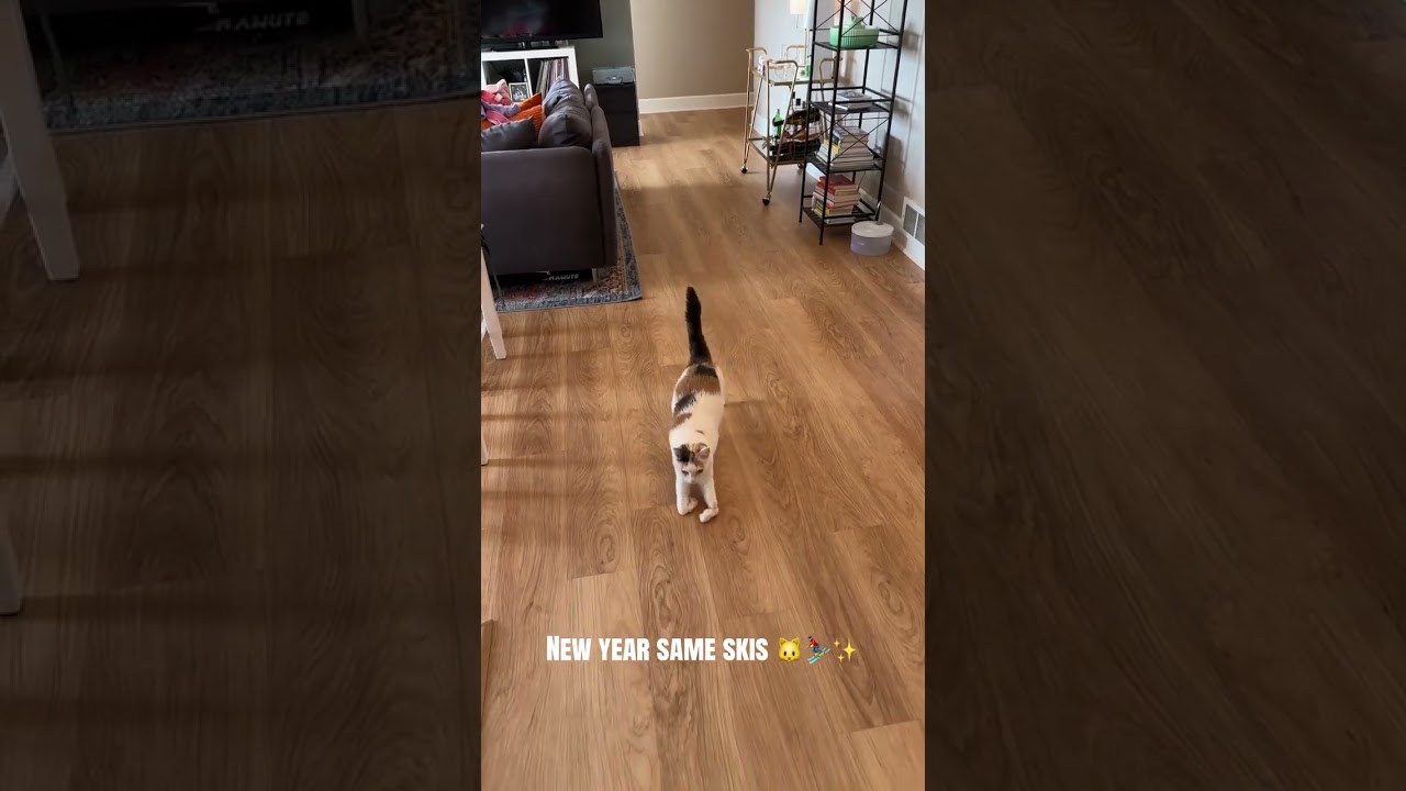 @juniebskis: New year, same skis 😻⛷️🥳 