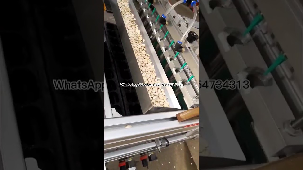 Melon seed precision seeding machine, seedling on-demand seeding machine