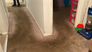 We Don’t Think This CARPET Can Become CLEAN, But If It Does, Its A Miracle!