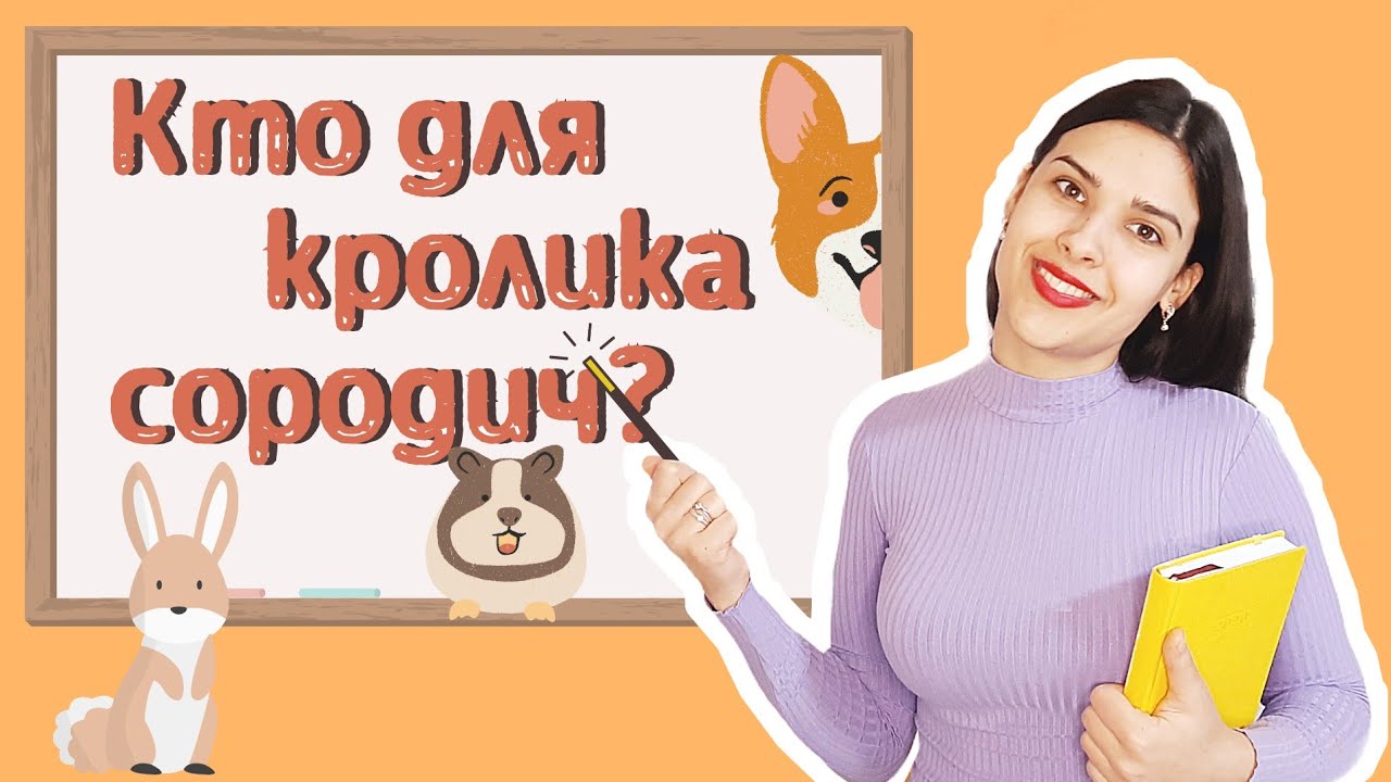 Нужен ли кролику сородич и кем он должен быть?