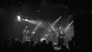 Elephant - Calling Groningen 161222