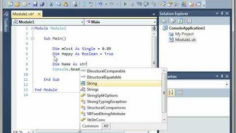 Visual Basic 5 - Variables Continued