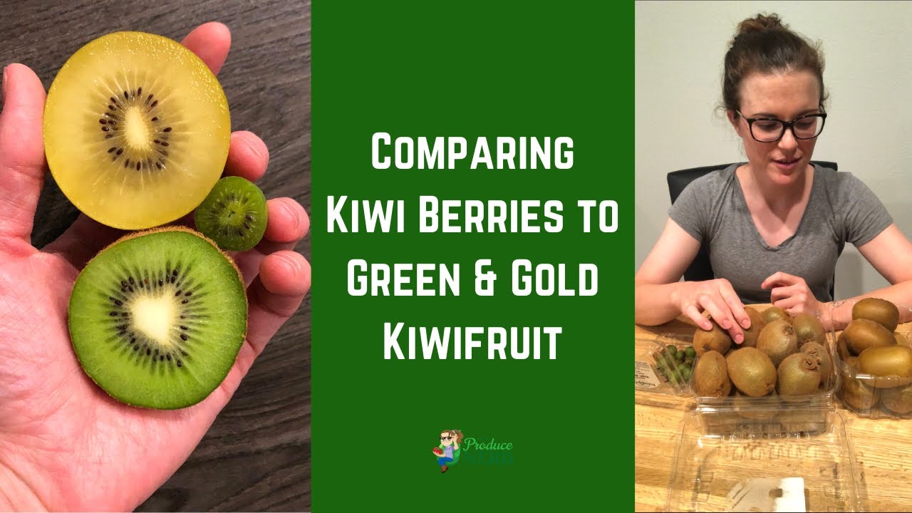 Kiwi Berries vs. Green Kiwifruit vs. Gold Kiwifruit 