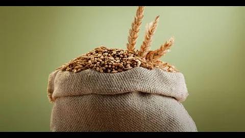 Healthy Grains | 6 Hacks for buying healthy breads, cereals, and pasta