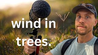 Recording Wind Ambience: X/Y vs Omni Pair. Which Sounds More Natural?