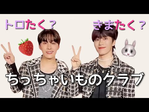 期間限定の同い年ケミ【きまたく】