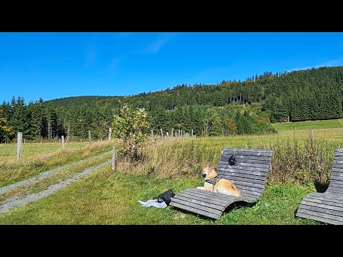 3 Tage Wandern mit dem Hund in NRW Garzweiler Monschau die Eifel entdecken