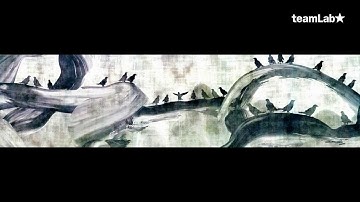 Crows are Chased and the Chasing Crows are Destined to be Chased as Well -- Black in White