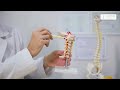 Southlake, Texas Neck and Arm Pain Treatment That May Help You Feel Better Faster