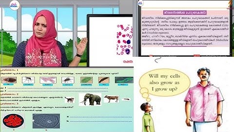 Victers Class6 basic science worksheet#victerdclass6_basic_science_worksheet അടിസ്ഥാന ശാസ്ത്രം വർക്ക