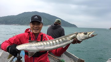 Câu Cá Đà Nẵng - Trolling cá nhồng khủng 2017-03-02