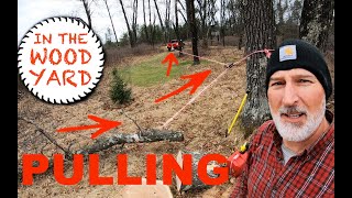 #305 - How to Pull Trees with a Rope and Pulley 