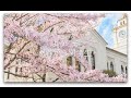 【ようこそ #春から関学生】2021年度新入生歓迎パフォーマンス
