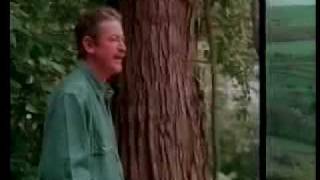 Dano :Kitty from Pomeroy.Dano.