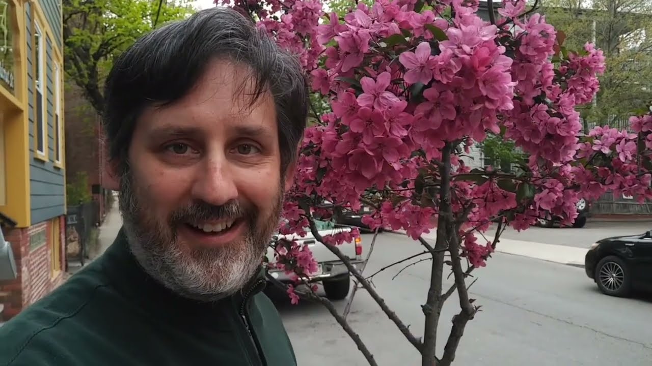 Hub Comics - Ad - 2022-05-07 "Free on Free Comic Book Day...?"