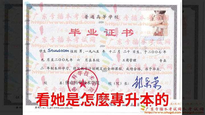 看她是怎么专升本的 - 天天要闻