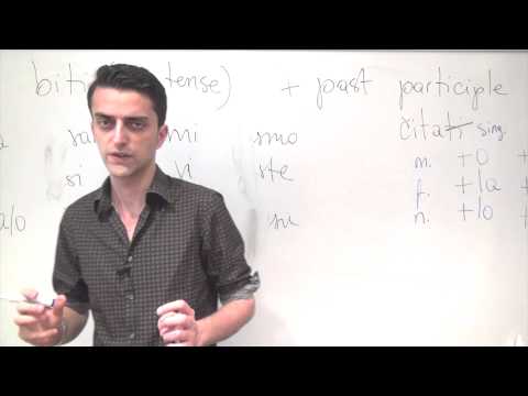 Bosnian/Croatian/Serbian Grammar: The Past Tense